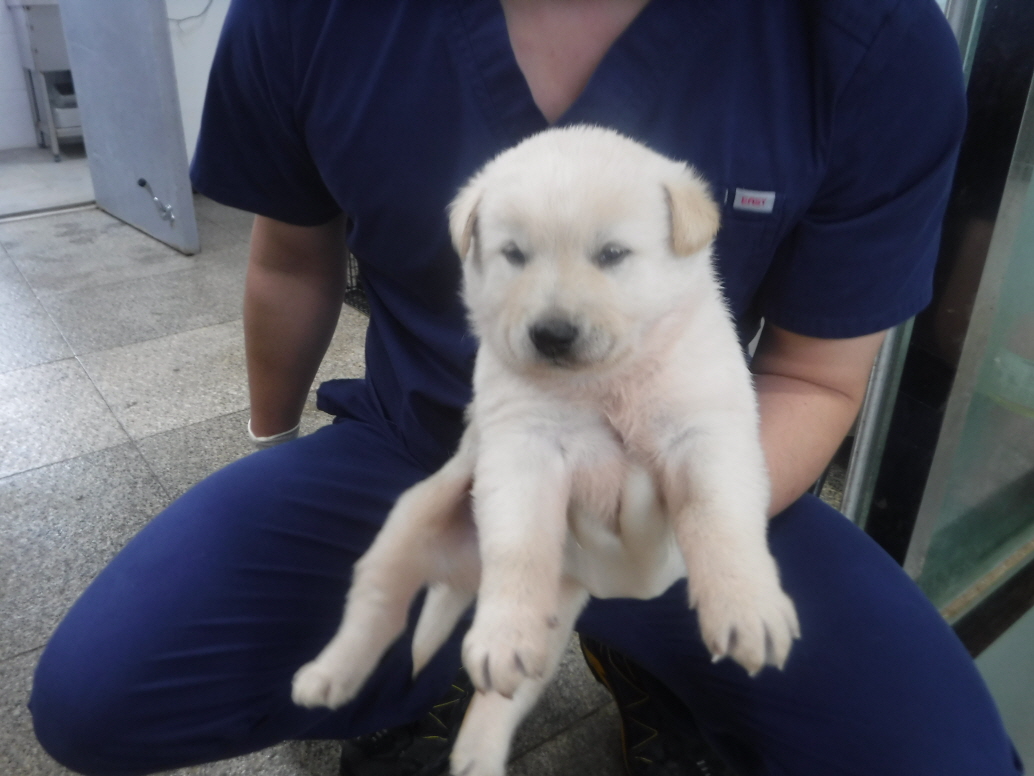 제주 동물보호센터_450650202301458
